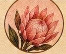 Botanical